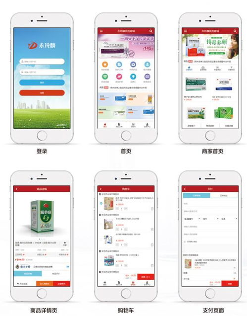 2017年醫(yī)藥電商格局愈發(fā)成熟,多元化發(fā)展成為趨勢(shì)